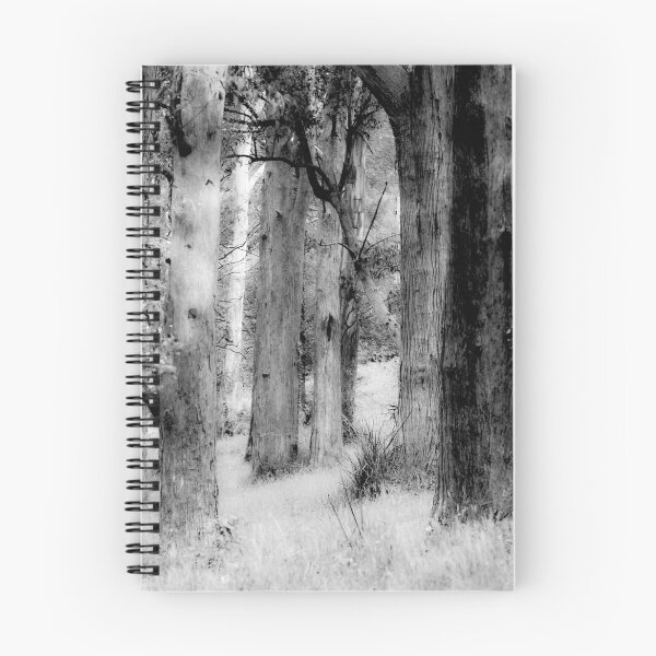 Artikelvorschau,  Victoria

! http: //images-3.redbubble.net/img/art/framecolor: schwarz / framestyle: flat30 / mattecolor: hell% 20weiß / Produkt: gerahmter Druck / Größe: groß / Ansicht: Vorschau / 4066411-1-Holz -trees.jpg! entworfen und verkauft von Caroline Gorka.