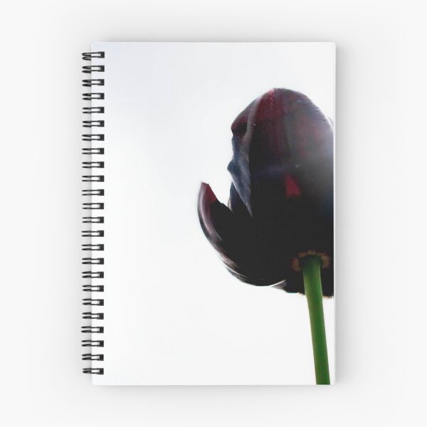Artikelvorschau, Purple Tulip entworfen und verkauft von jdreamer.