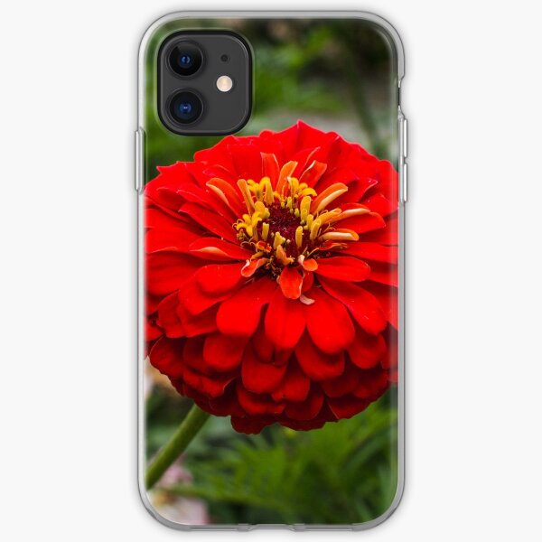 Zinnia flower iPhone Soft Case