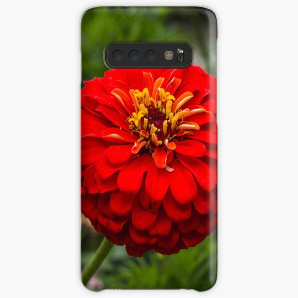 Zinnia flower Samsung Galaxy Snap Case