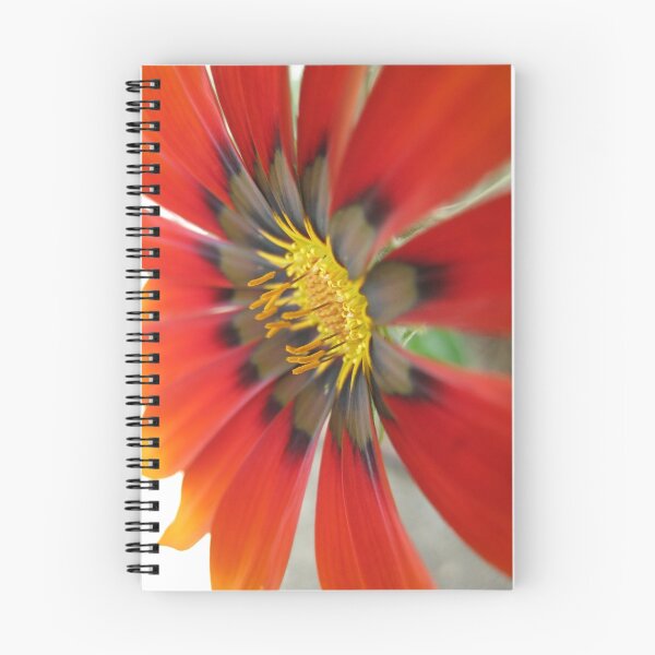 Item preview, Gazania Detail designed and sold by Sherilee Evelyn.