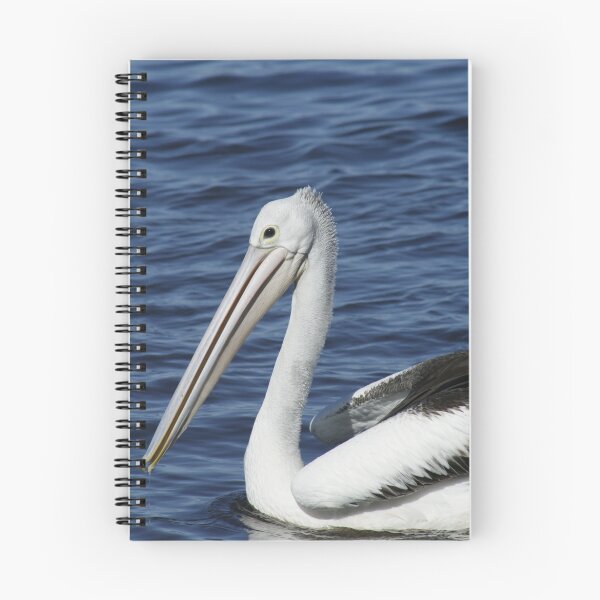 Item preview, Pelican Purpose - Golden Beach - Qld designed and sold by HeidiForeman.
