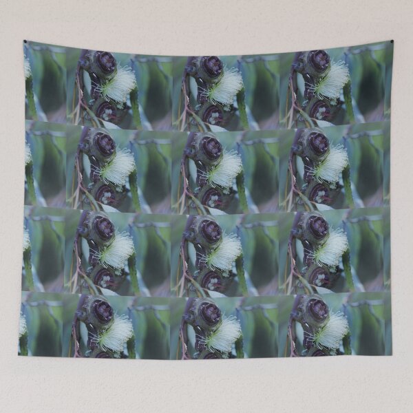 Item preview, Beauty of the Gumnut - Eucalyptus Youngiana designed and sold by imaginethis.