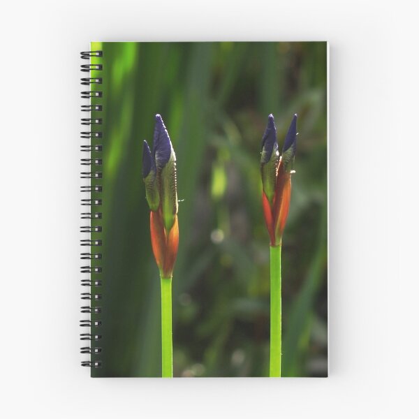 Item preview, Iris Sibirica designed and sold by WatscapePhoto.