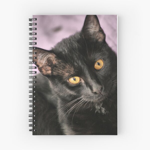 Item preview, I'm so pretty..... designed and sold by Susanne Correa.