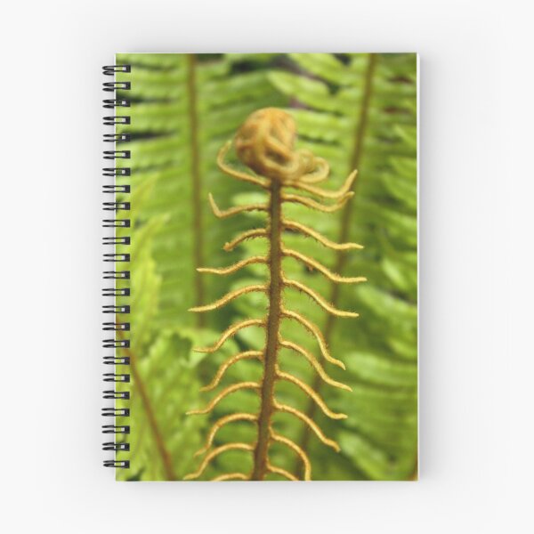 Item preview, Fern 1 designed and sold by Steven Carpinter.