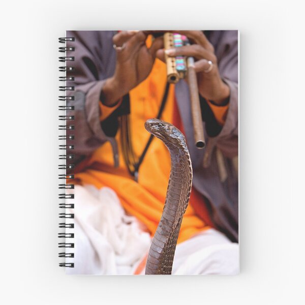Item preview, Snake Charmer designed and sold by eyesoftheeast.