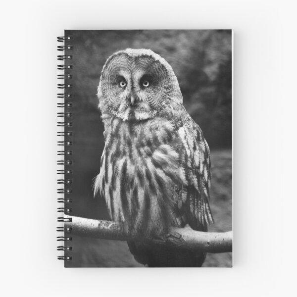 Item preview, Great Grey Owl designed and sold by Wayne Gerard Trotman.