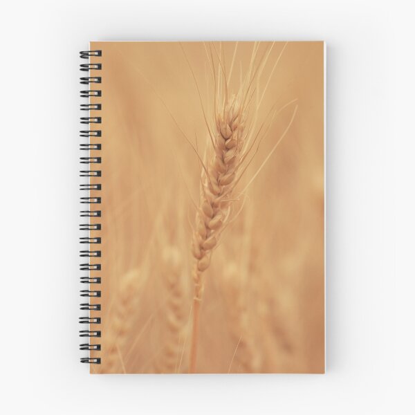 Item preview, Harvest The Gold designed and sold by Ronda Sliter.