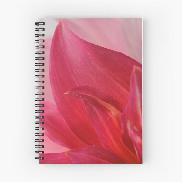 Aperçu de l'œuvre Pink petals créée et vendue par Robin Nellist.