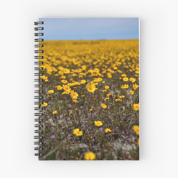 Item preview, Coreopsis - Carrizo Plain designed and sold by Rebecca SowardsEmmerd.