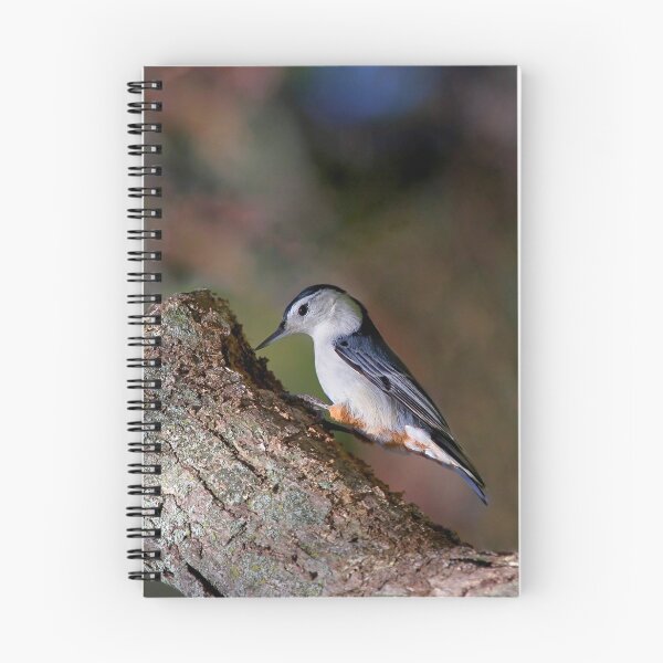Item preview, White Breasted Nuthatch designed and sold by John Absher.