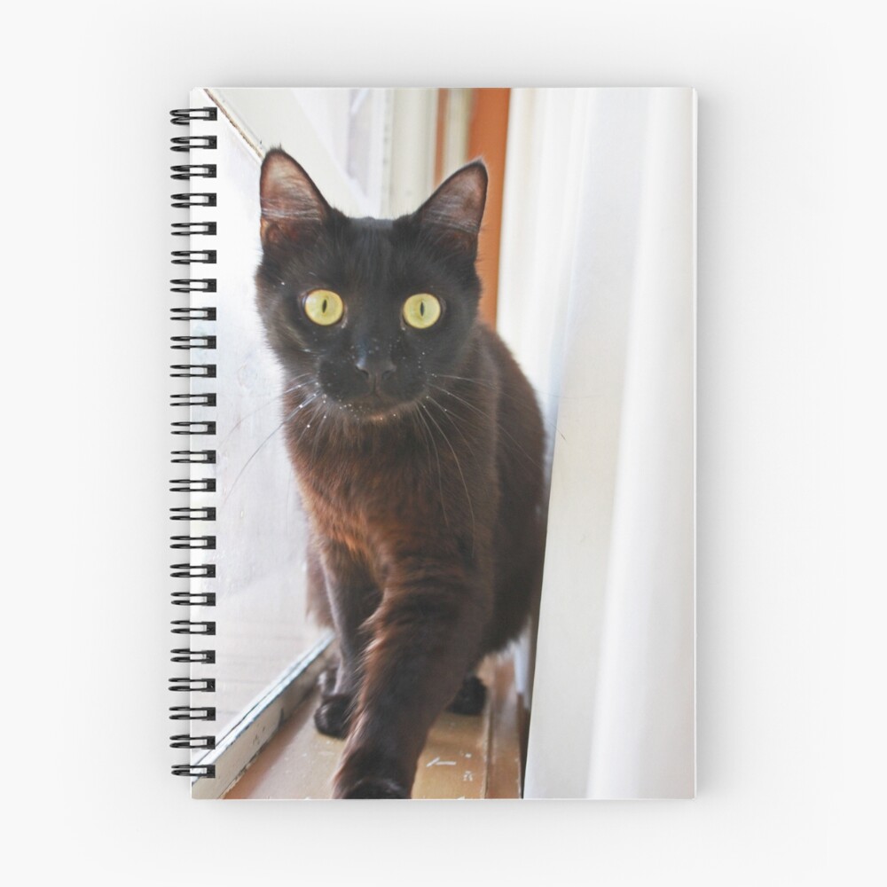 Item preview, Spiral Notebook designed and sold by Ryleigh.