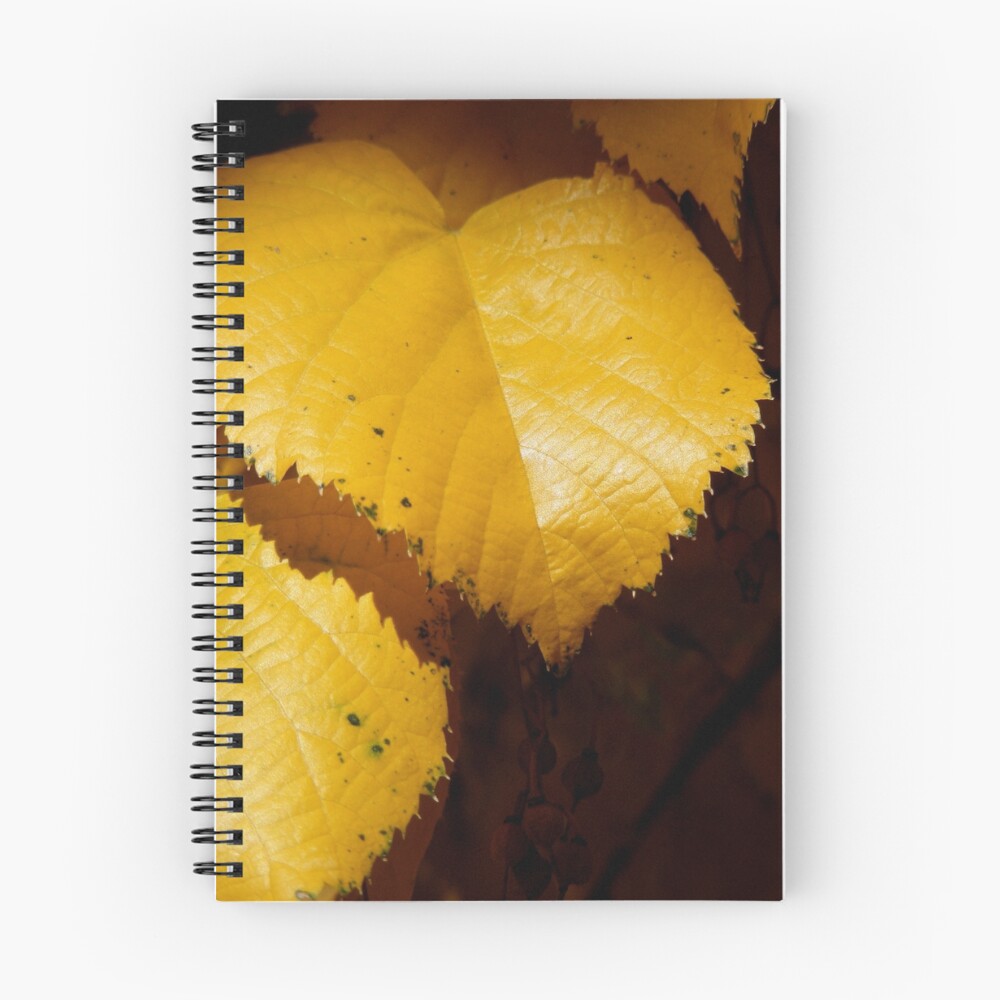 Item preview, Spiral Notebook designed and sold by thinkingoutloud.