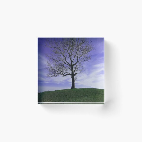 Item preview, Plum Tree designed and sold by cobblehill.