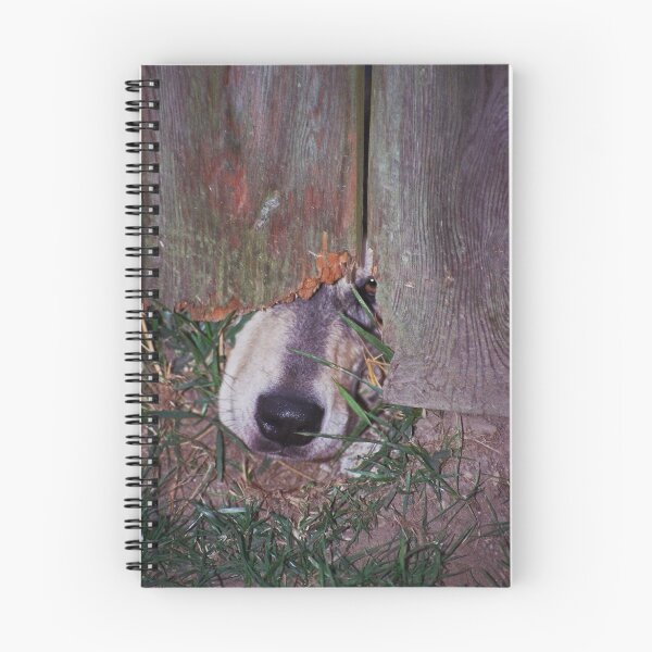 Item preview, Nosey designed and sold by Robin Nellist.