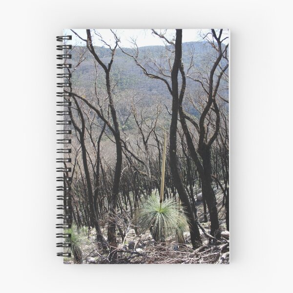 Item preview, Bushfire regrowth, Wilsons Promontory NP designed and sold by Glen Sheppard.