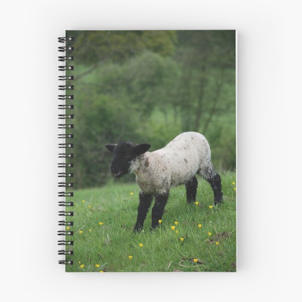 Item preview, sheep close up designed and sold by jord3949.