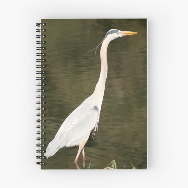 Aperçu de l'œuvre Great Blue Heron créée et vendue par Jamie Mathiau.