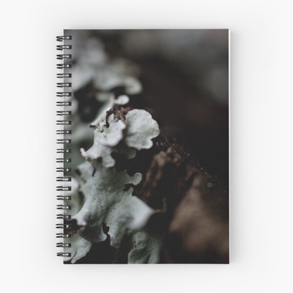 Item preview, Lichen Moments designed and sold by Milton Gan.
