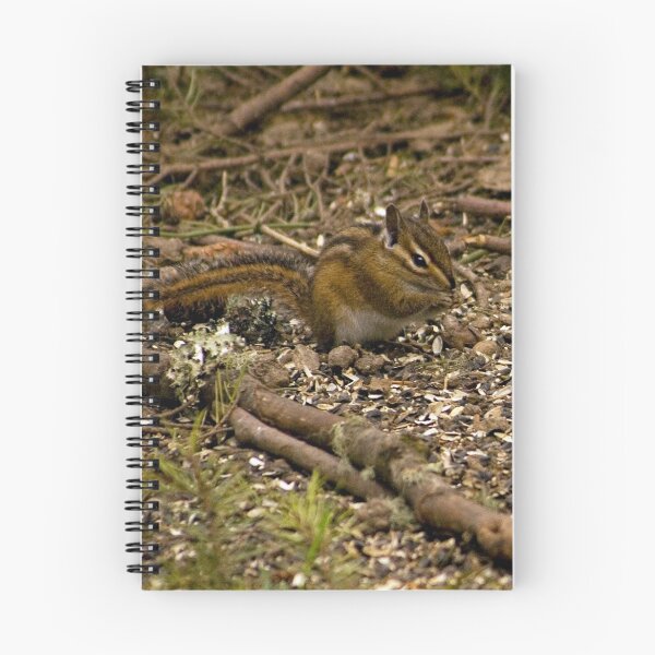 Artikelvorschau, Chip or Dale???? entworfen und verkauft von TeresaB.
