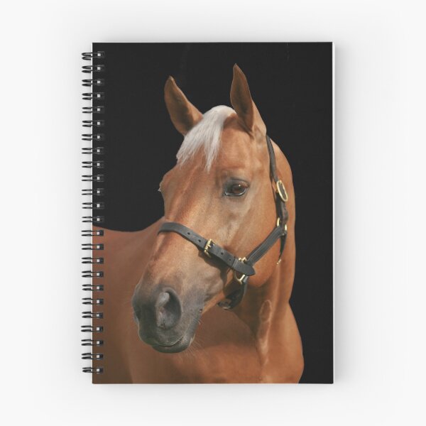 Item preview, Palomino Stallion designed and sold by Jo McGowan.