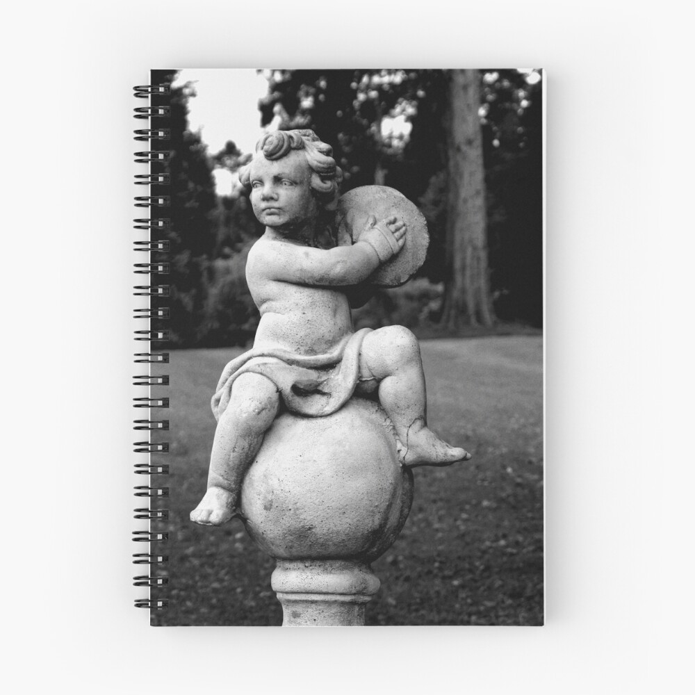 Item preview, Spiral Notebook designed and sold by Marsbub.