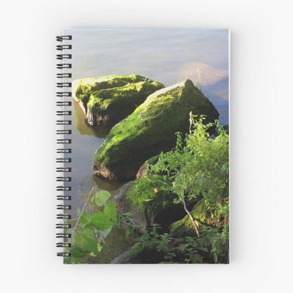 Item preview, Serenity on The Seine designed and sold by Orla Cahill Photography.