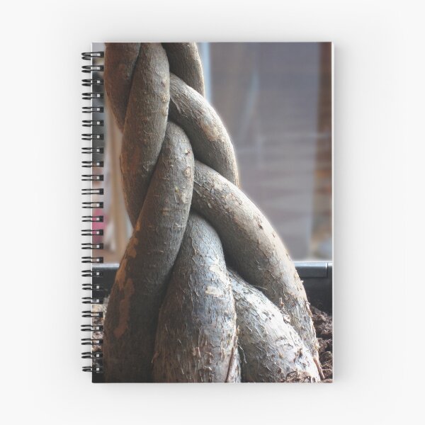 Item preview, Plaited designed and sold by Orla Cahill Photography.