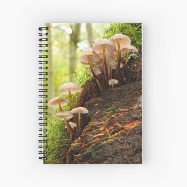 Mushroom stands in the forest - Allenbanks, Northumberland Spiral Notebook