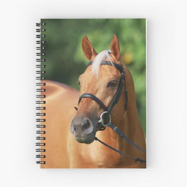 Item preview, Palomino beauty designed and sold by Jo McGowan.