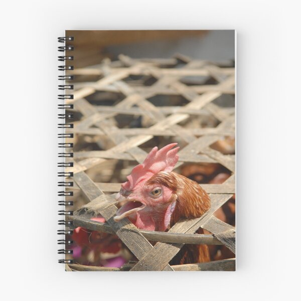 Item preview, Bali life - chicken  designed and sold by Stephen Colquitt.