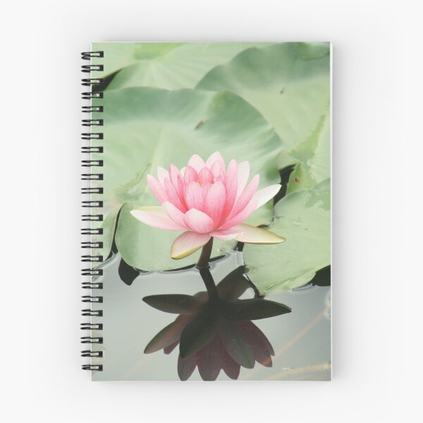 Item preview, Pink Lilly - Mapleton Pond - Qld designed and sold by HeidiForeman.