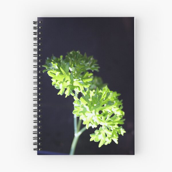 Artikelvorschau, my singing parsley duet entworfen und verkauft von Sally R.