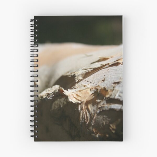 Item preview, Paperbark Moth in Camo - Tanawah Botanical Gardens - Qld designed and sold by HeidiForeman.