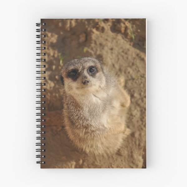 Item preview, What`s Up, Mate designed and sold by STEPHANIE STENGEL | STELONATURE PHOTOGRAPHY.