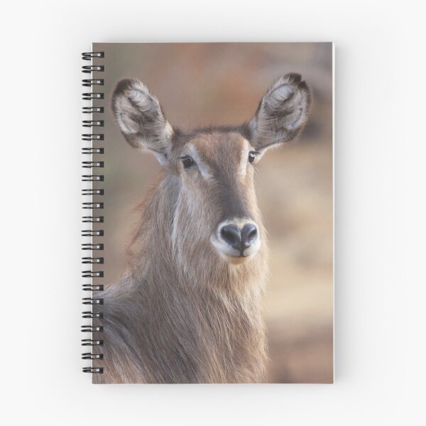 Item preview, Waterbuck designed and sold by Jo McGowan.