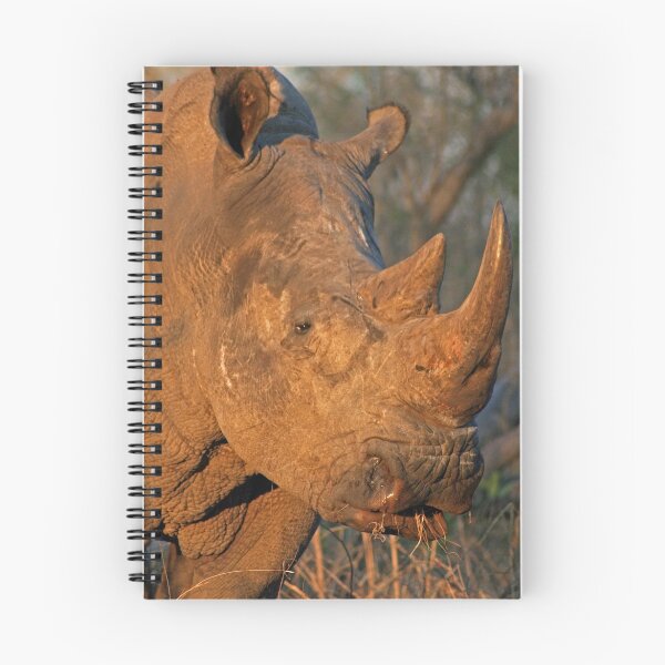 Artikelvorschau, White Rhino entworfen und verkauft von Jo McGowan.