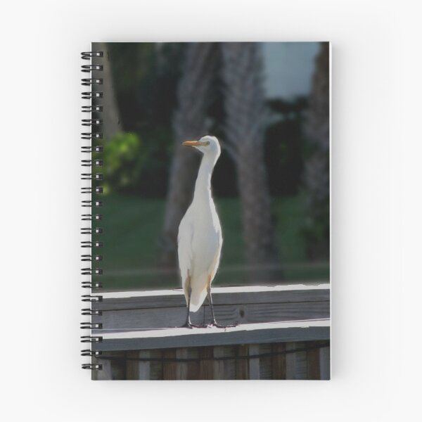 Item preview, Kathy's Cattle Egret , looking out for others!!!! designed and sold by Brenda Dow.