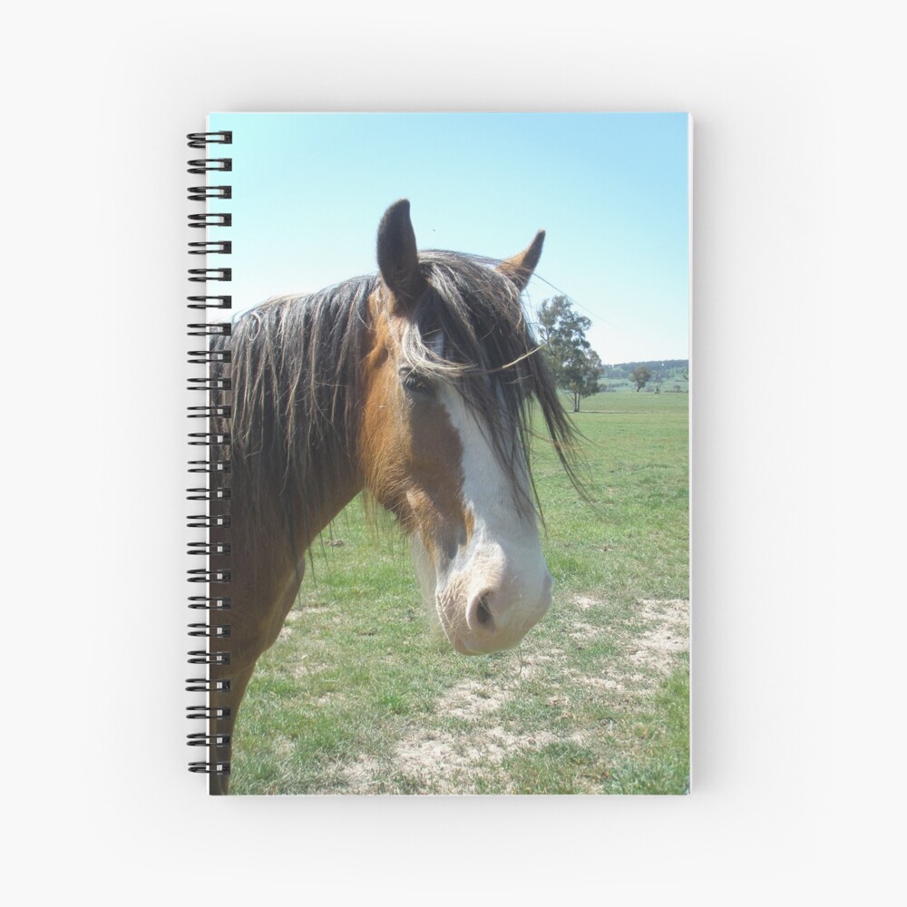 Item preview, Spiral Notebook designed and sold by windana1.