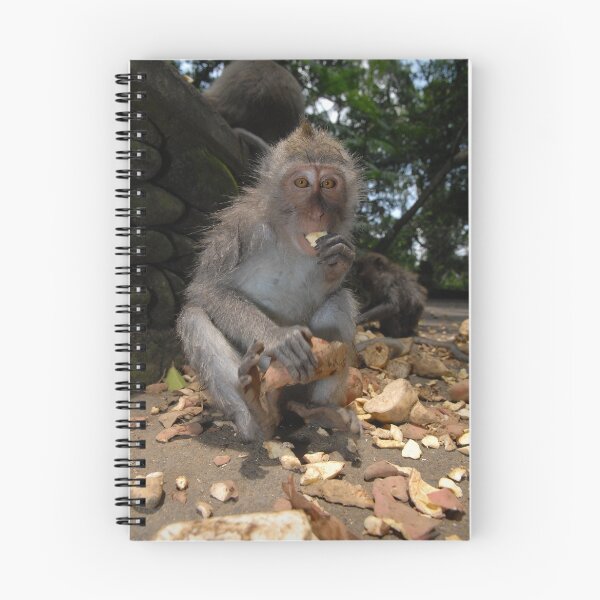 Item preview, Monkey meal  designed and sold by Stephen Colquitt.