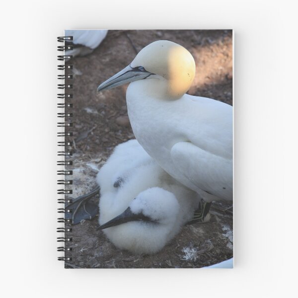 Item preview, Nesting Gannets designed and sold by Agood.