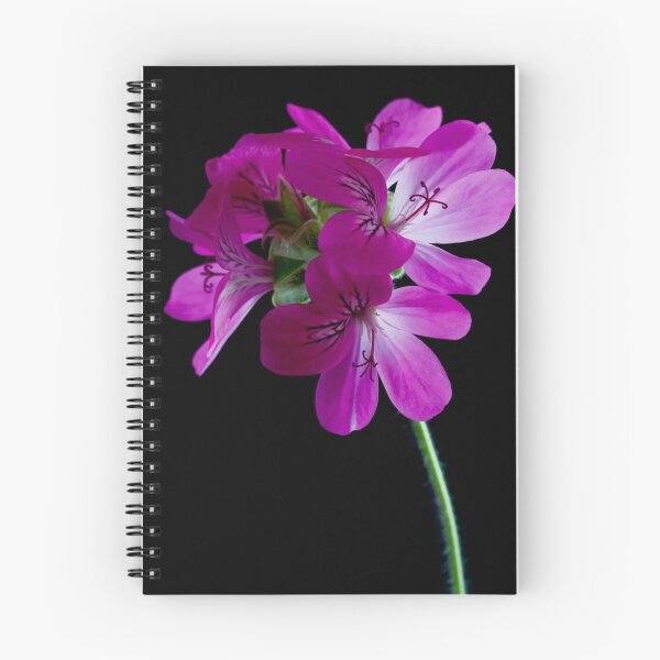 Item preview, Geranium designed and sold by margotk.