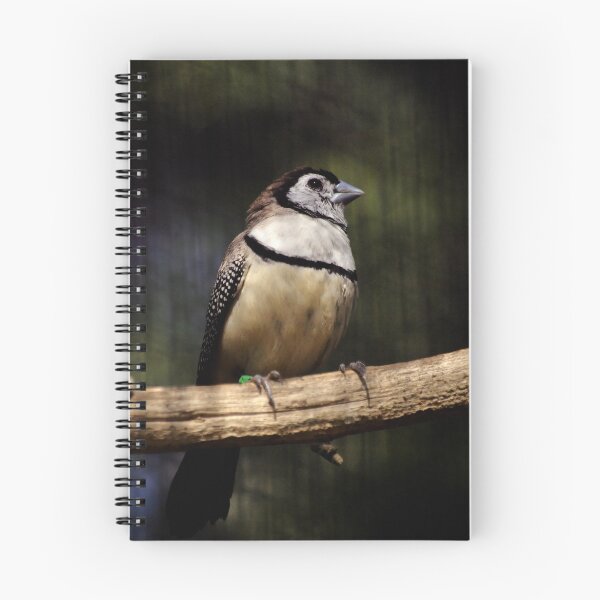 Item preview, Double - Barred Finch designed and sold by Tamara  Kenneally.