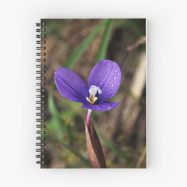 Item preview,  Purple Flag (Patersonia occidentalis) designed and sold by Bev Pascoe.