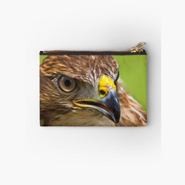 Item preview, Common Buzzard designed and sold by Geoff Carpenter.
