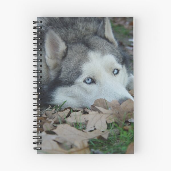 Item preview, Leaves and Fall Husky Season designed and sold by RealPainter.