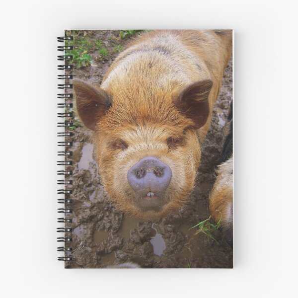 Item preview, Bat Pig designed and sold by Rob Parsons (Just a Walker with a Camera).