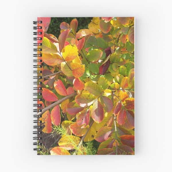 Artikelvorschau, Autumn Bouquet - Crepe Myrtle entworfen und verkauft von WalnutHill.