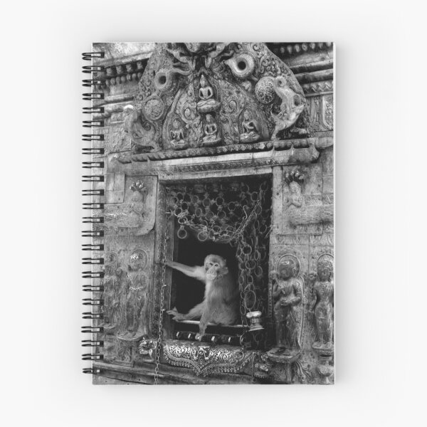 Aperçu de l'œuvre  Nepal 03 créée et vendue par Albert Sulzer.